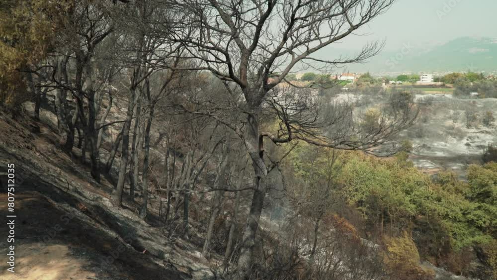 Wide pan view of catastrophic results of big forest fire at Parnitha mountain, Greece , August 2021. 4K pan shot Wide pan view of catastrophic results of big forest fire at Parnitha mountain, Greece , August 2021. 4K pan shot