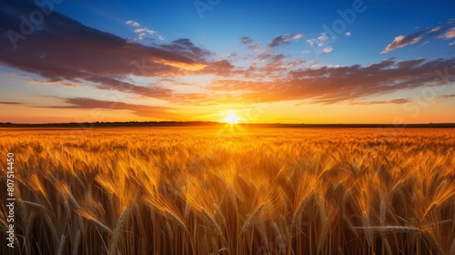 Breathtaking sunset over a golden wheat field