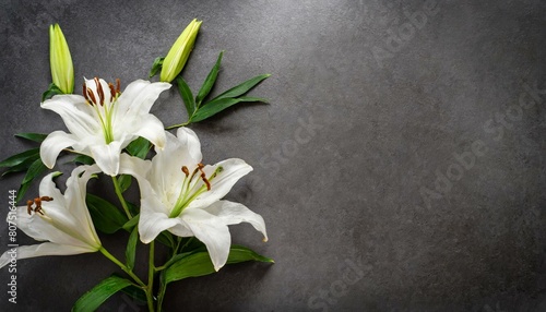 branch of white lilies flowers, mourning or funeral background