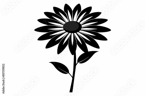 Daisy black and white flower silhouette on white background, Vector illustration, bird, icon, svg, characters, Holiday t shirt, Hand drawn trendy Vector illustration, Rose flower