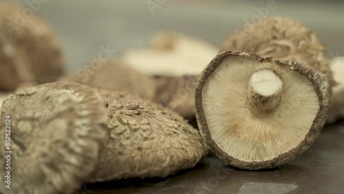 mushroom shiitake plant farming agricultural products photo
