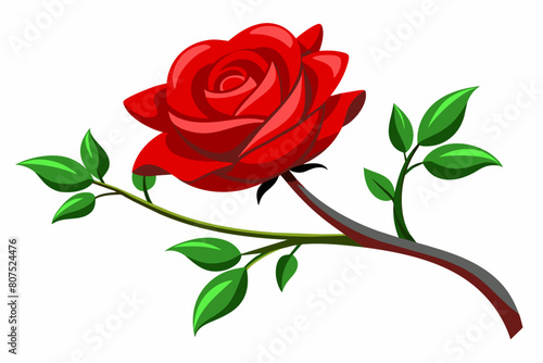 red rose with leaves Vector illustration on white background, silhouette, bird, icon, svg, characters, Holiday t shirt, Hand drawn trendy Vector illustration, Rose flower  © SK kobita