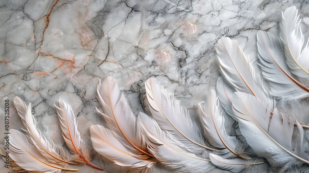 panel wall art, marble background with feather designs , wall decoration. copy space for text. panel wall art, marble background with feather designs , wall decoration. copy space for text.
