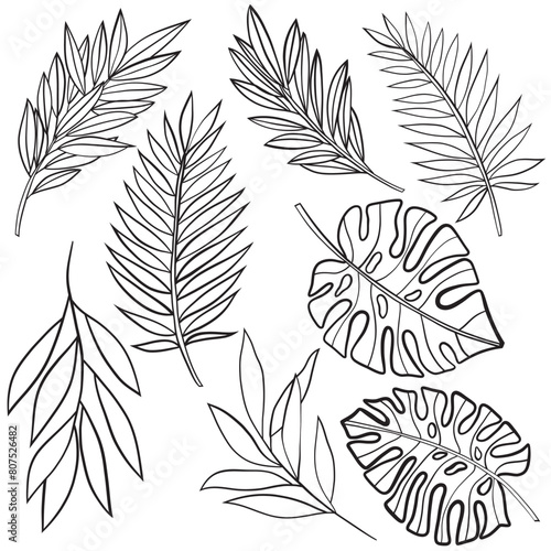 seamless pattern of leaves