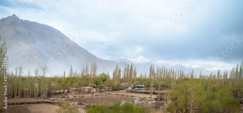 Panoramic view of camping sites, farmland, and resorts in Leh, Ladakh. Landscape view of rocky land and apricot trees surrounded by Himalayas and Dramatic clouds.