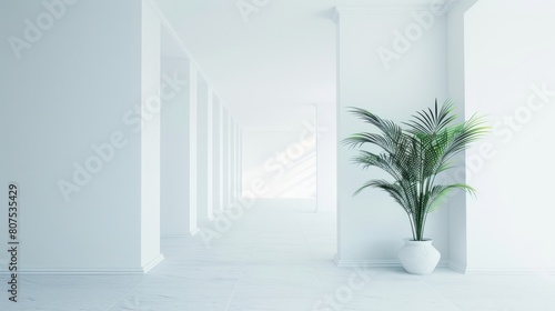 White walls in the room space background