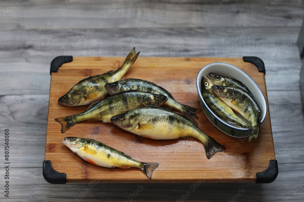 Perch, freshwater fish of Canada, fishing, on the table, cooking fish