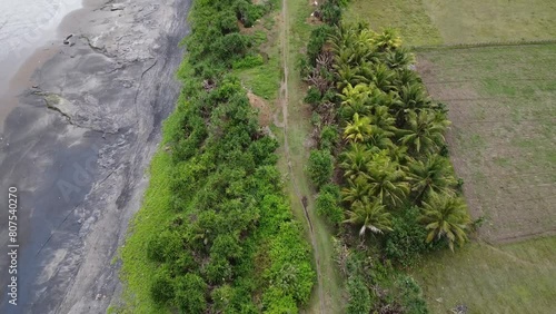 Hills on the coast