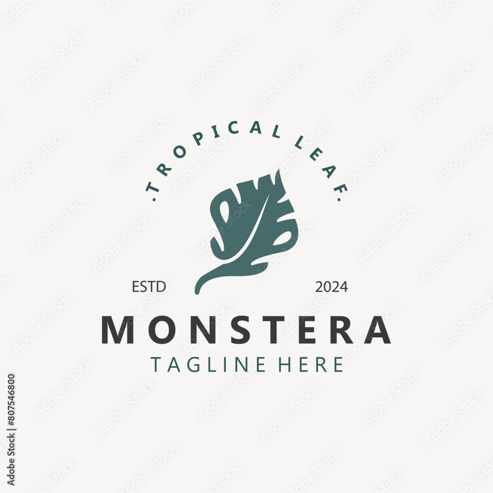 Monstera deliciosa leaf nature logo design, flat plant icon design illustration template Monstera deliciosa leaf nature logo design, flat plant icon design illustration template