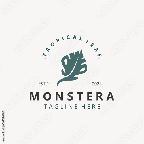 Monstera deliciosa leaf nature logo design, flat plant icon design illustration template