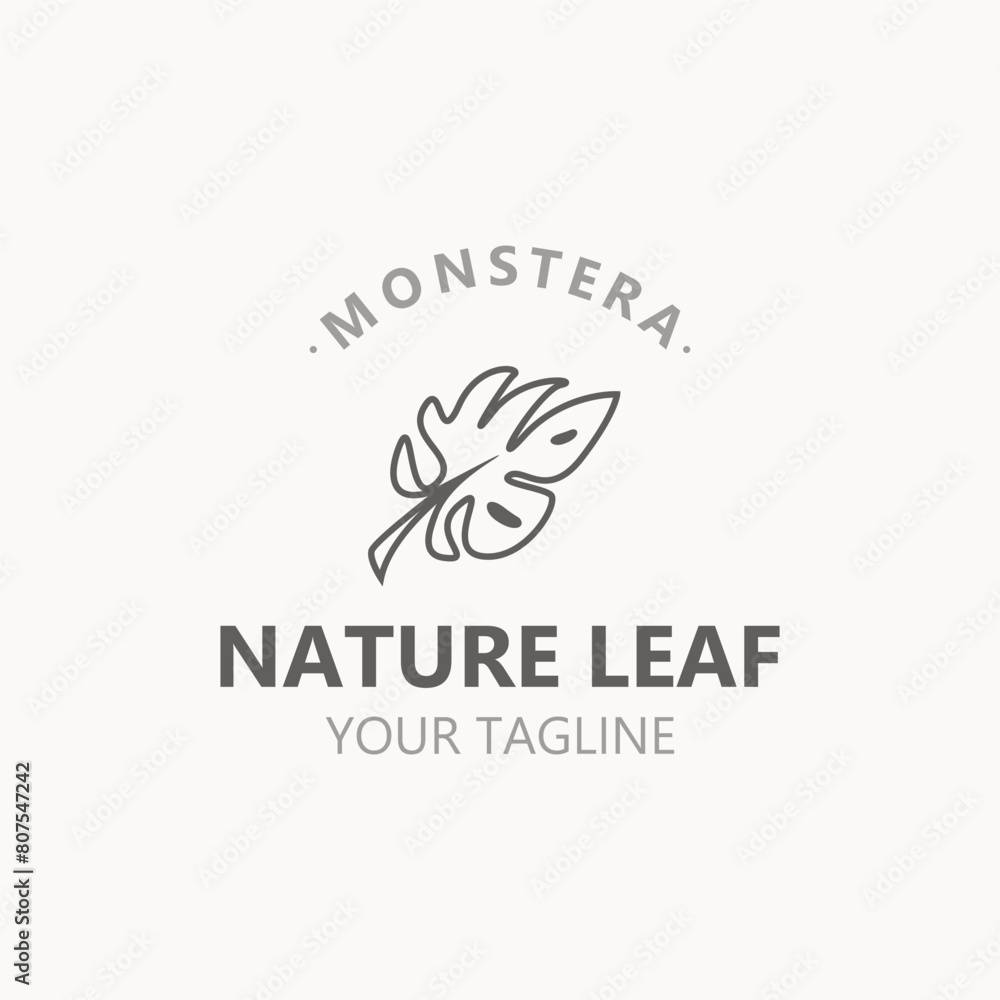 Monstera deliciosa leaf nature logo design, flat plant icon design illustration template
