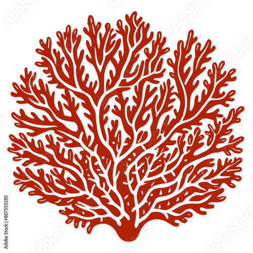 coral 