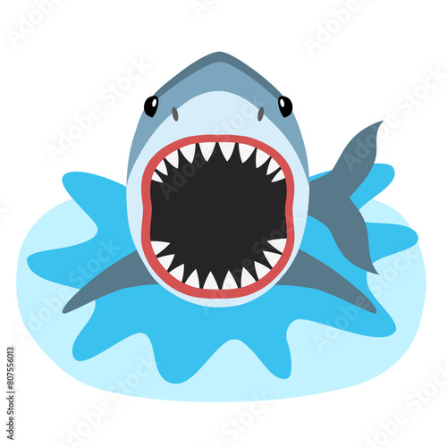 Shark with open mouth on a white background.