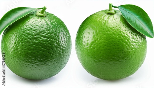 Citrus lime fruit Hyperrealistic Highly Detailed Isolated On WHITE Background