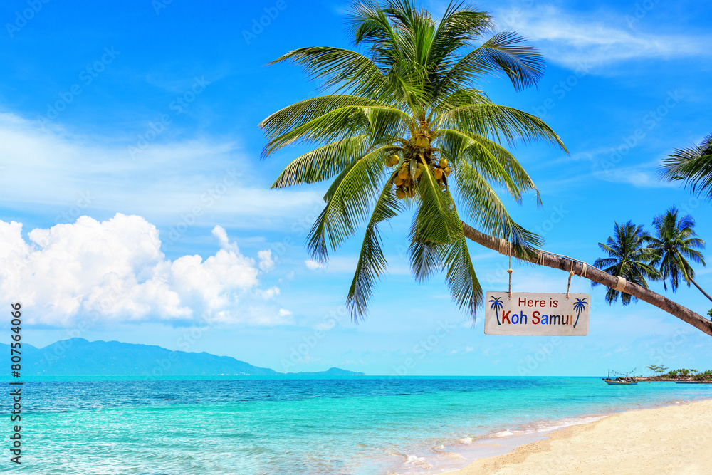 Here is Koh Samui sign on palm tree, paradise tropical island sea sand beach, Koh Phangan view landscape, ocean, sun sky cloud, Surat Thani, Thailand, summer holidays, vacation, Southeast Asia travel