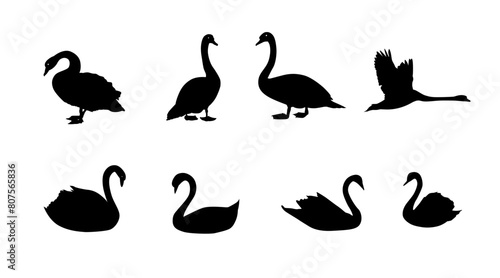 collection of swan animal silhouettes