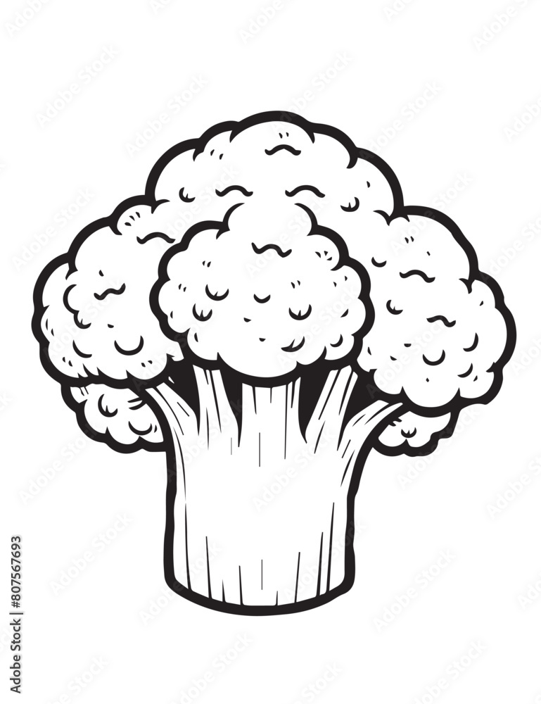 Illustration Coloring draw vegetable broccoli black and white version good for kids Illustration Coloring draw vegetable broccoli black and white version good for kids