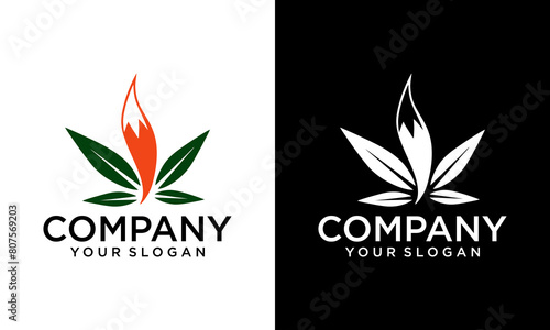 Creative Cannabis Leaves with Fox Tail Logo Design Template. Cannabis Hashish Weed Marijuana Hemp is a psychoactive drug from the Cannabis plant.