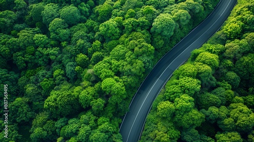 Road in the center of a dense forest from above illustrating the path to green energy secluded and picturesque © Purichaya