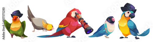 Cute funny parrot characters set with exotic wild birds, pets and pirate mascot in hat and with telescope. Cartoon vector different friendly tropical animal species with multicolored feathers and beak
