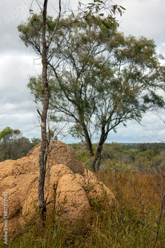 bushland, Outback scenery in Far North Queensland, Australia