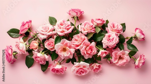 Pink rose flowers bouquet on pink background. Flat lay, top view minimal floral composition.