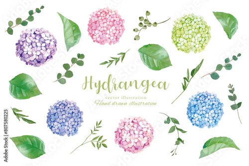 水彩手書きの紫陽花の水彩風フレーム素材