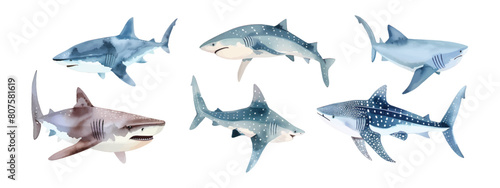 Collection set of watercolor shark environmental marine illustration