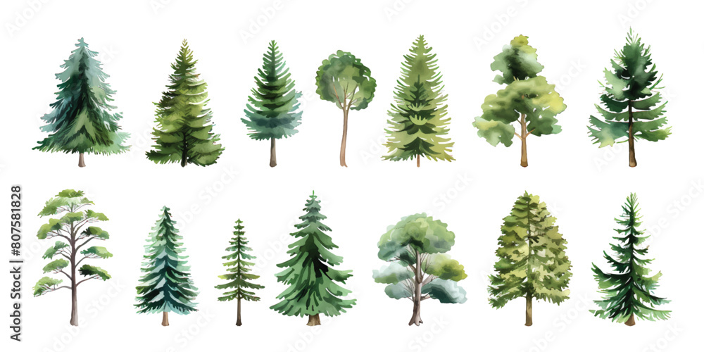 Fototapeta premium Set of hand drawn watercolor green forest tree and bush painting illustration