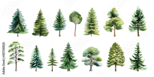 Set collection of hand drawn watercolor green forest tree and bush painting illustration