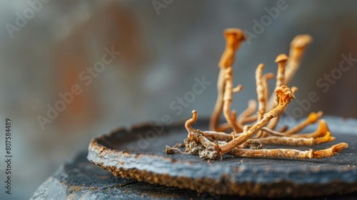  Cordyceps mushrooms, showcasing their unique shape and earthy aroma.  photo