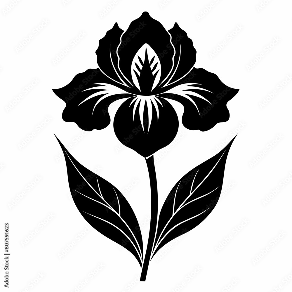 Iris Flower silhouette vector illustration isolated on a white background. Iris Flower silhouette vector illustration isolated on a white background.