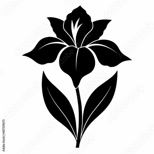 Iris Flower silhouette vector illustration isolated on a white background.