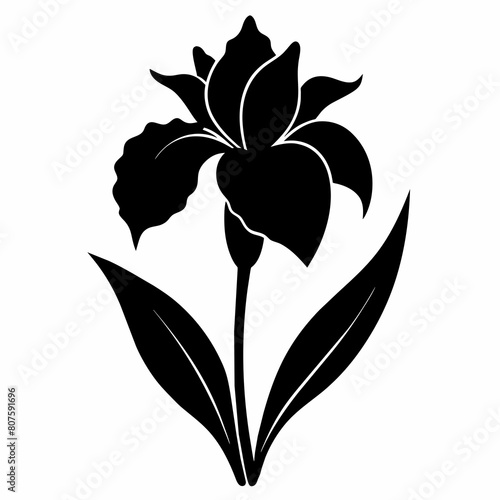 Iris Flower silhouette vector illustration isolated on a white background.