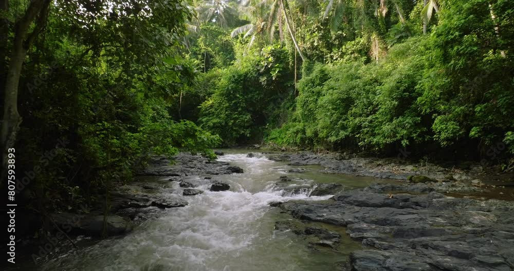 River in tropical green rainforest, 4K Aerial drone top view shot River in tropical green rainforest, 4K Aerial drone top view shot