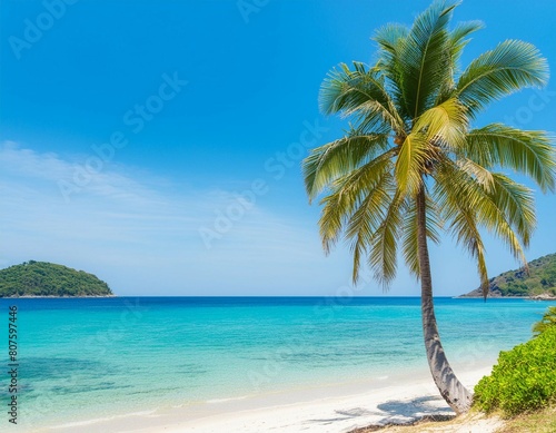 Coconut tree on a tropical island with beautiful sea.