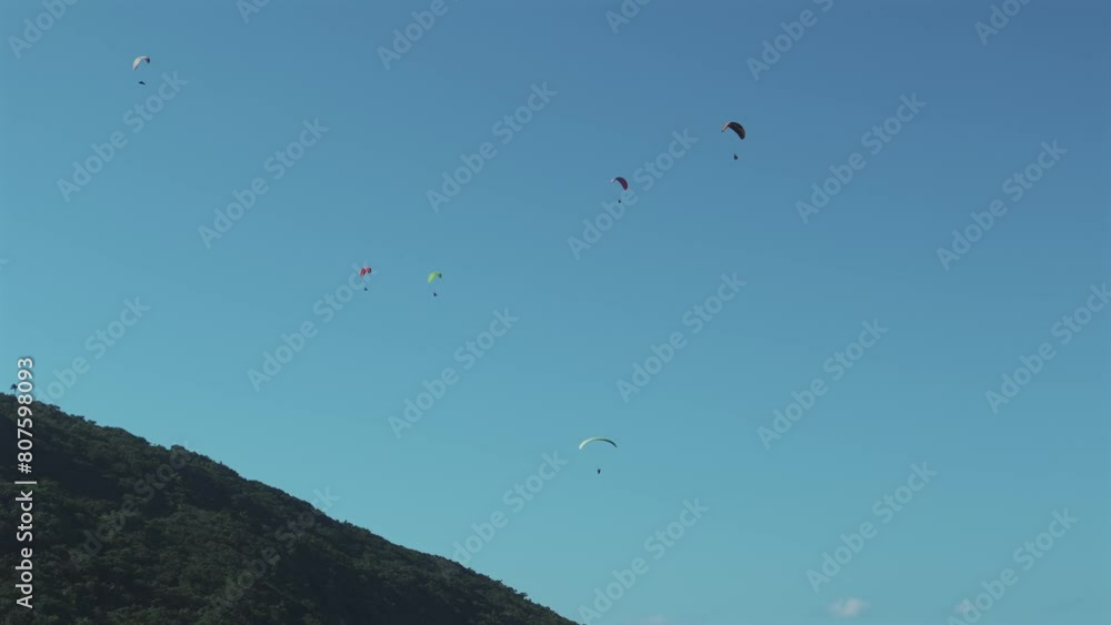 Seven paragliders soar in harmony near a verdant mountain on a beautiful sunny day.