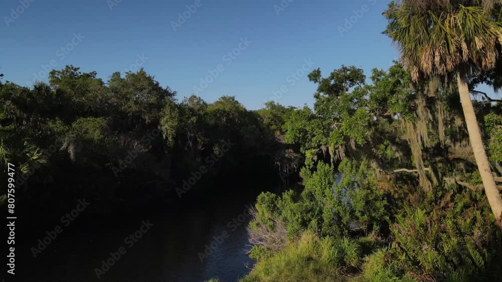 Aerial view of luscious green marsh with waterway, Terra Ceia state park, Florida Aerial view of luscious green marsh with waterway, Terra Ceia state park, Florida