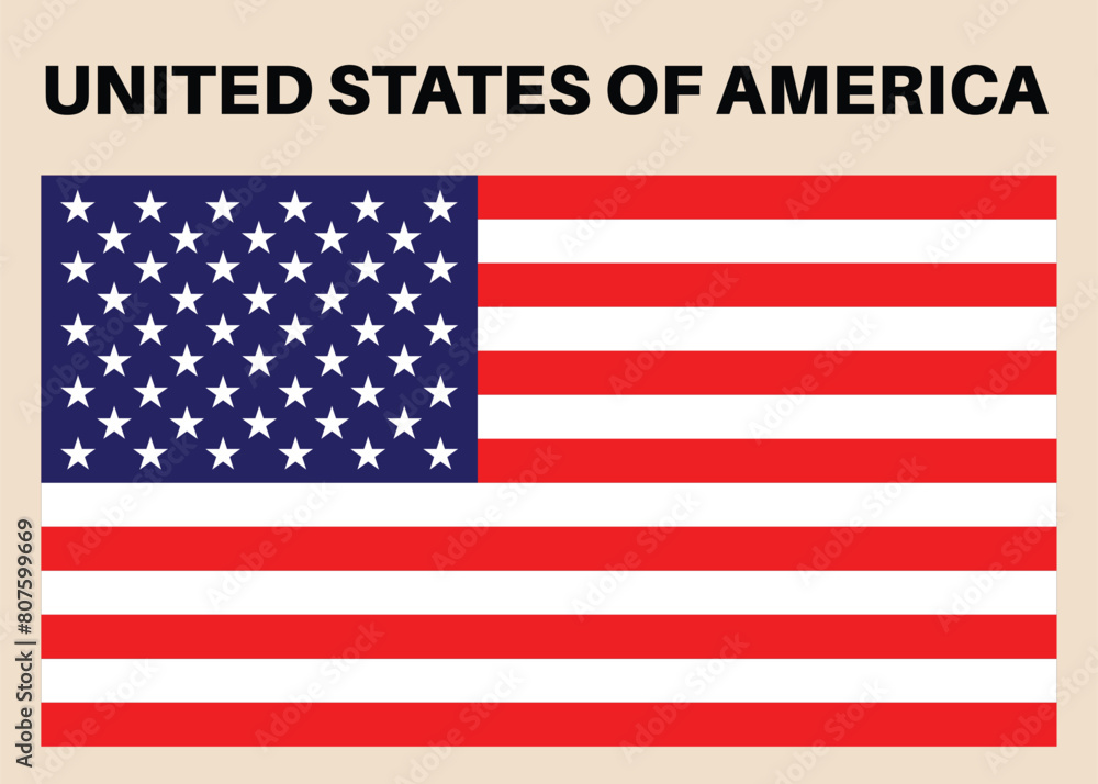 United state of america flag in vector format. United state of america flag in vector format.