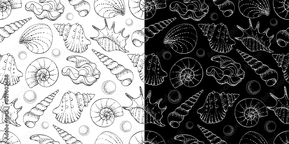 Black and white seamless pattern of sea shells, monochrome background. Seashells and conchs, hand drawn lines and dots, grainy texture. Vector print, undersea design for fabric, wallpaper and package. Black and white seamless pattern of sea shells, monochrome background. Seashells and conchs, hand drawn lines and dots, grainy texture. Vector print, undersea design for fabric, wallpaper and package.