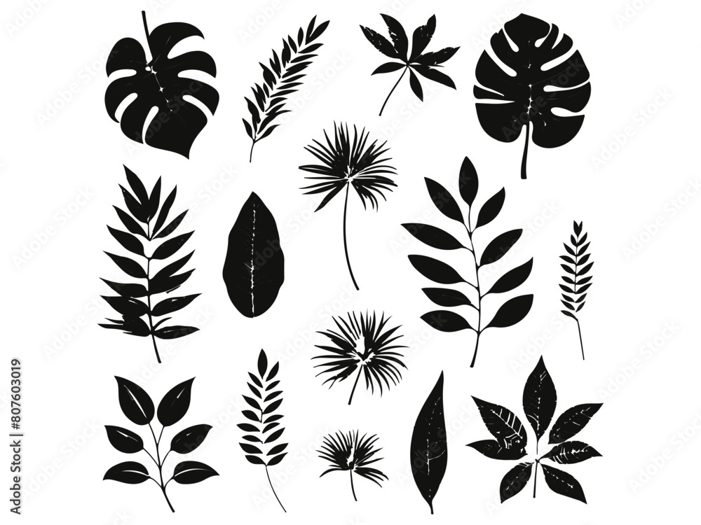 creating art inspired by black and white leaves, exploring the subtleties of black and white plant, illustrating the intricacy of monochromatic leaves, capturing the grace of monochromatic plant. creating art inspired by black and white leaves, exploring the subtleties of black and white plant, illustrating the intricacy of monochromatic leaves, capturing the grace of monochromatic plant.