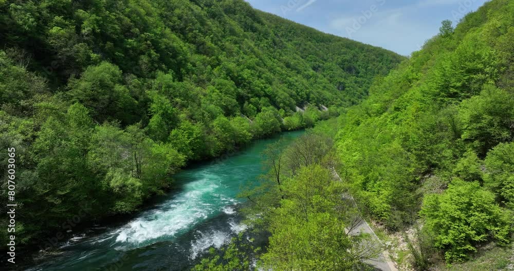 An untouched natural scene featuring a clear river flanked by newly green trees and a gentle sky, viewed from above. An untouched natural scene featuring a clear river flanked by newly green trees and a gentle sky, viewed from above.