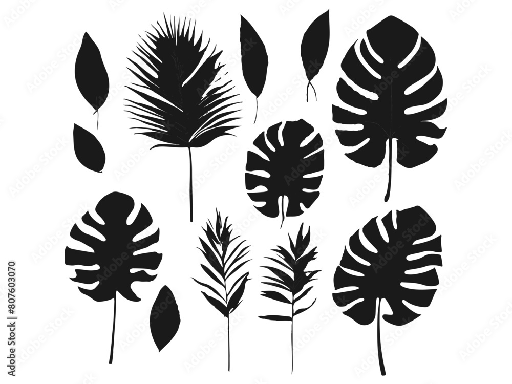 creating art inspired by black and white leaves, exploring the subtleties of black and white plant, illustrating the intricacy of monochromatic leaves, capturing the grace of monochromatic plant. creating art inspired by black and white leaves, exploring the subtleties of black and white plant, illustrating the intricacy of monochromatic leaves, capturing the grace of monochromatic plant.