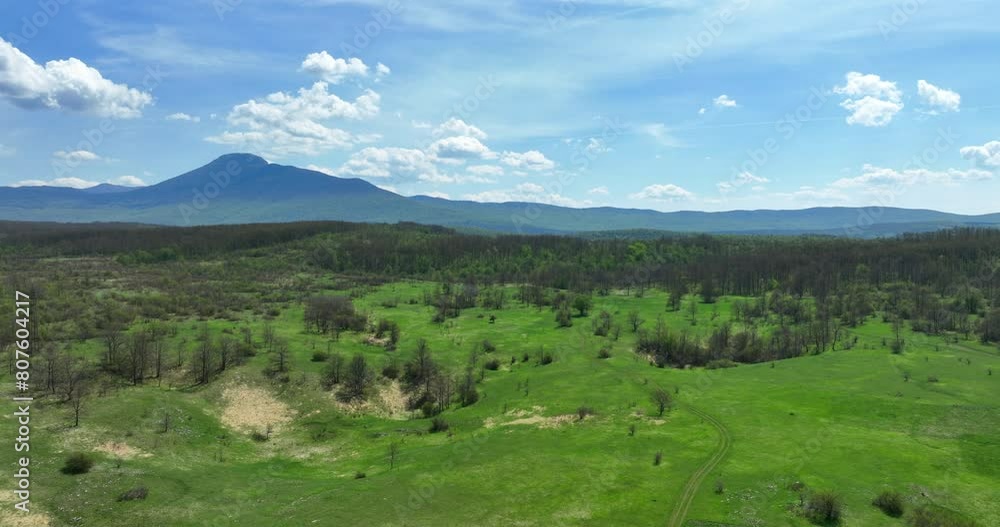 Low flight over a mountain plateau overgrown with grass and sparse forest in early spring with mountain peaks in the background and a blue sky with scattered clouds Low flight over a mountain plateau overgrown with grass and sparse forest in early spring with mountain peaks in the background and a blue sky with scattered clouds