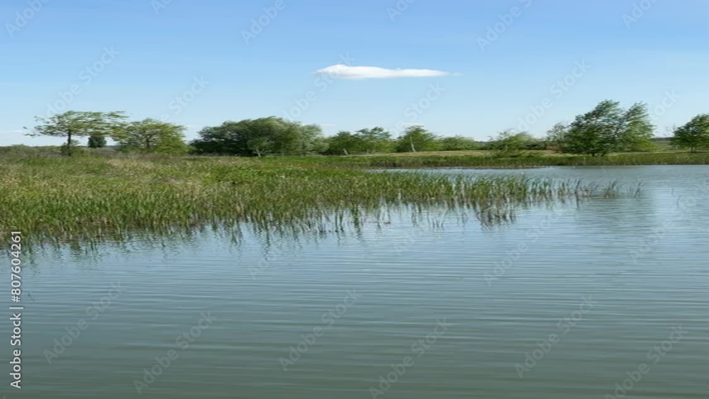 Lake and swaying grass in meadow at summer, vertical video. Lake and swaying grass in meadow at summer, vertical video.