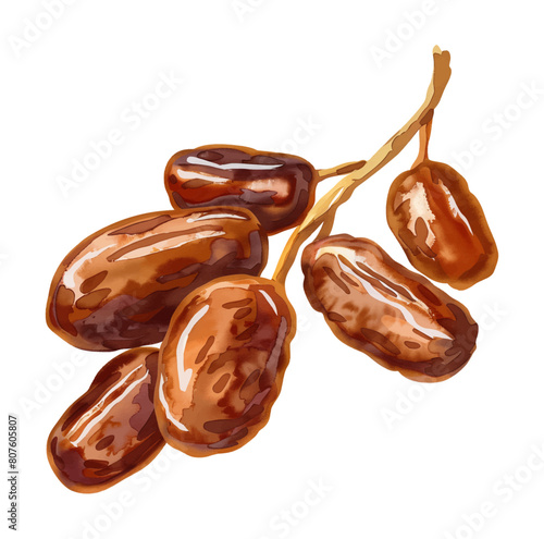 date fruit watercolor digital painting good quality