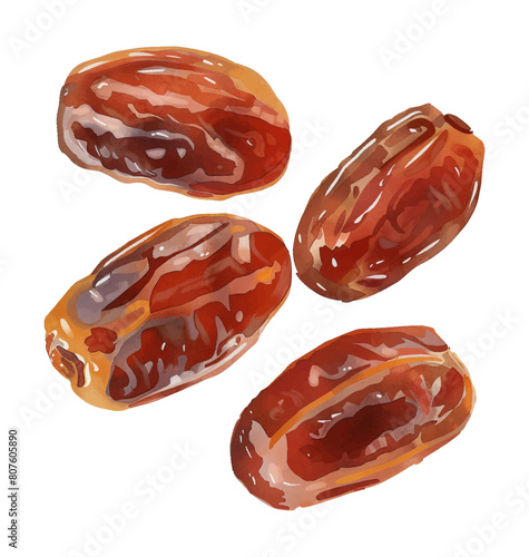 date fruit watercolor digital painting good quality