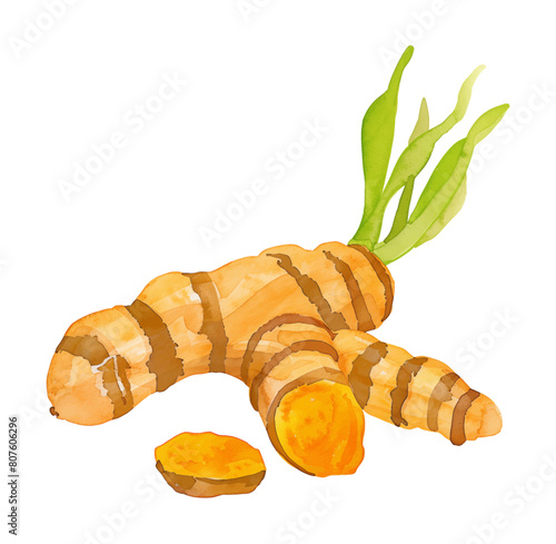 turmeric watercolor digital painting good quality