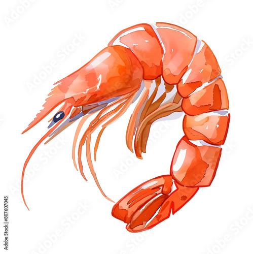 raw shrimp watercolor digital painting good quality