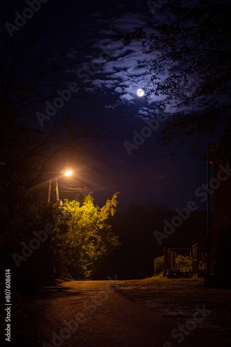 A lantern illuminating the road at night wiht the full moon on the sky | Latarnia oświetlająca drogę nocą z pełnym księżycem na niebie